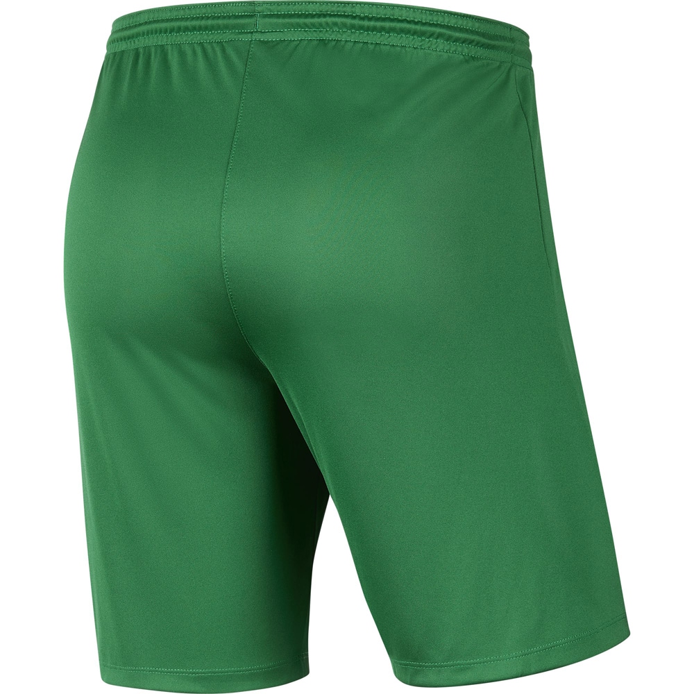 Nike Park III Herren Shorts pine green-weiß