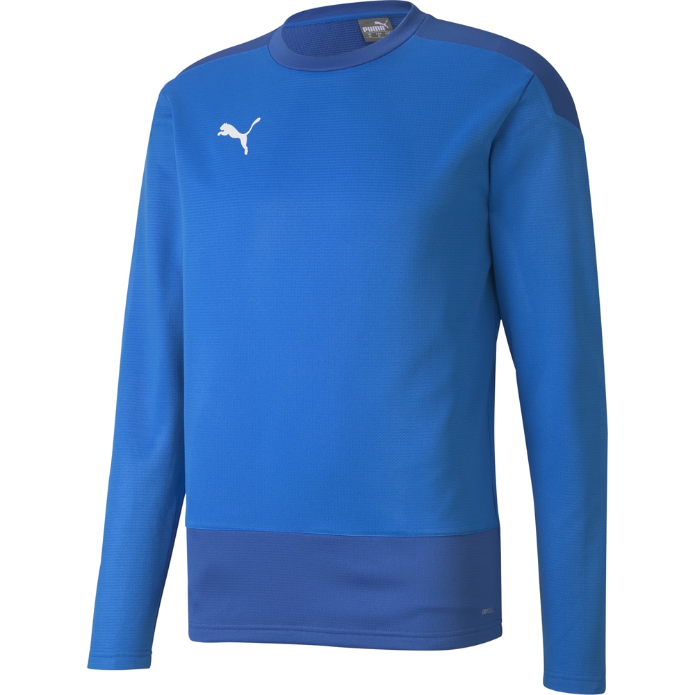 Puma Training Sweatshirt teamGOAL 23 blau
