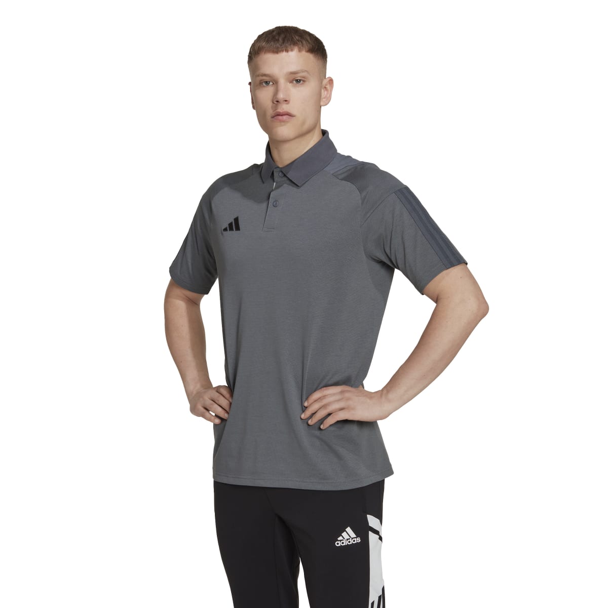 Adidas Polo-Shirt Tiro 23 Competition Team Onix | Team Light Grey