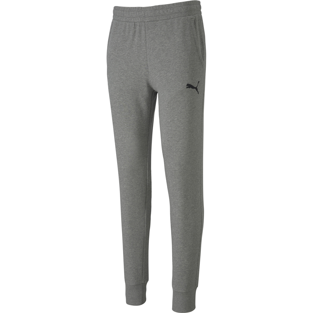 Puma Pants teamGOAL 23 Casuals grau