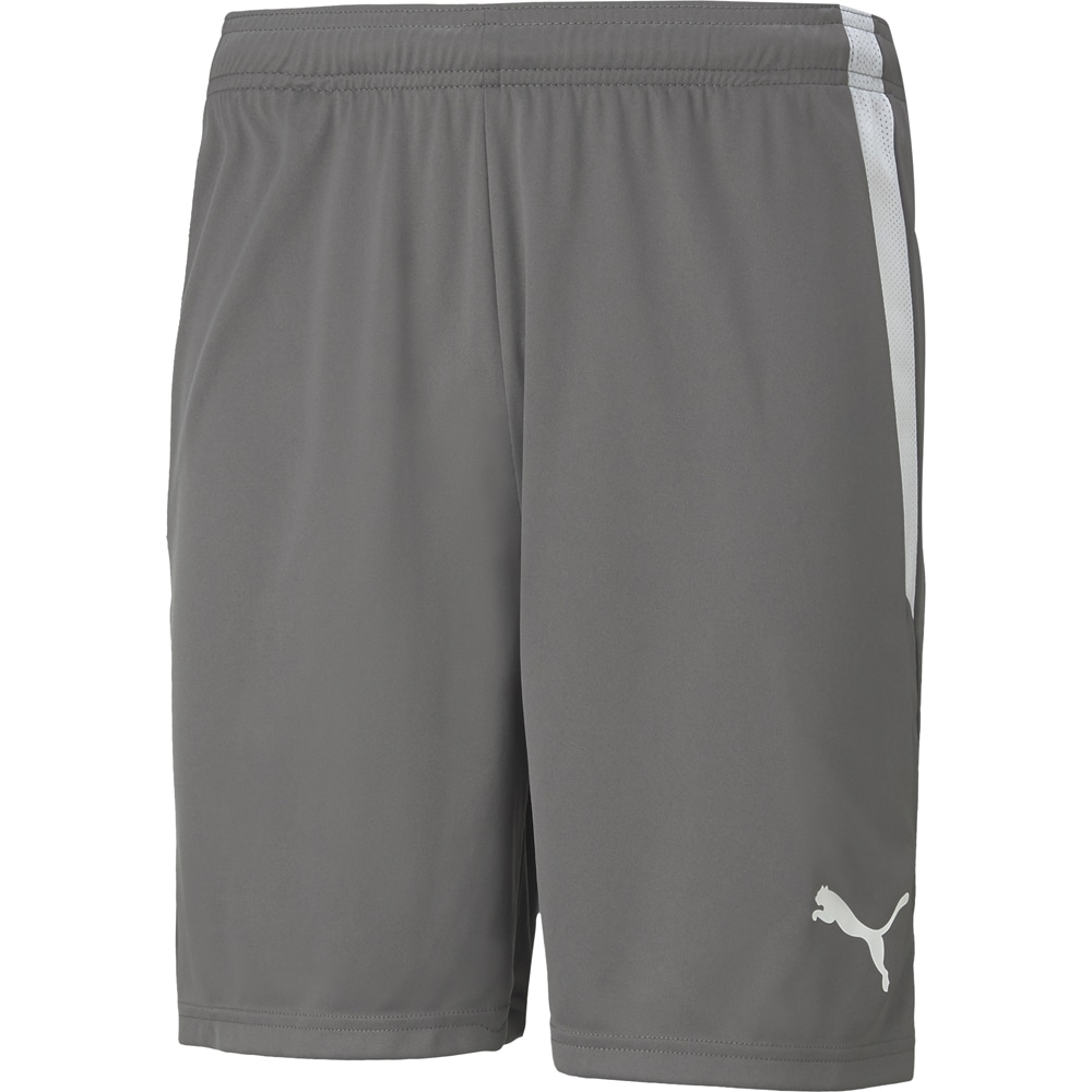 Puma Kinder Shorts teamLIGA grau-weiß