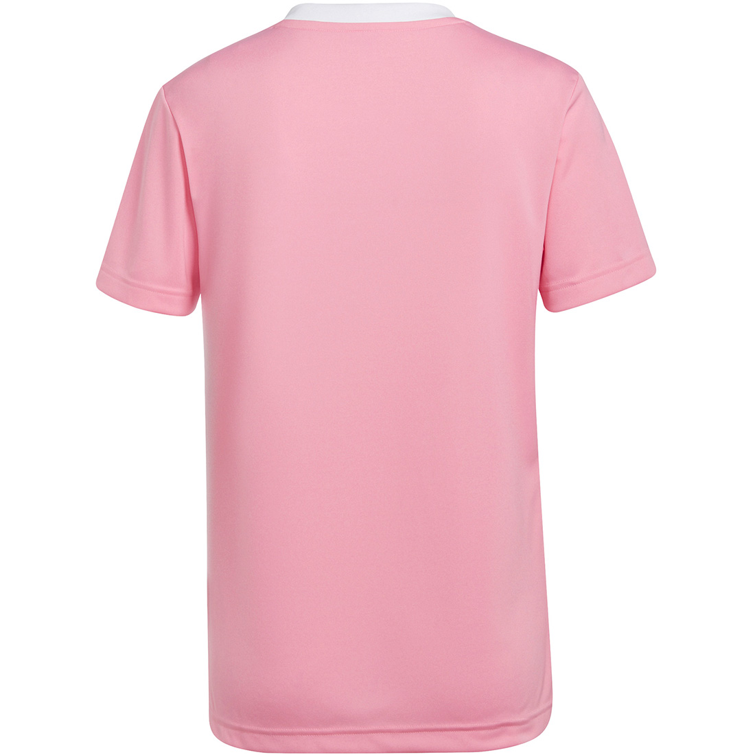 Adidas Damen Trikot Entrada 22 rosa