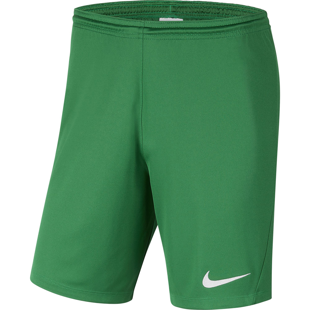 Nike Park III Kinder Shorts pine green-weiß
