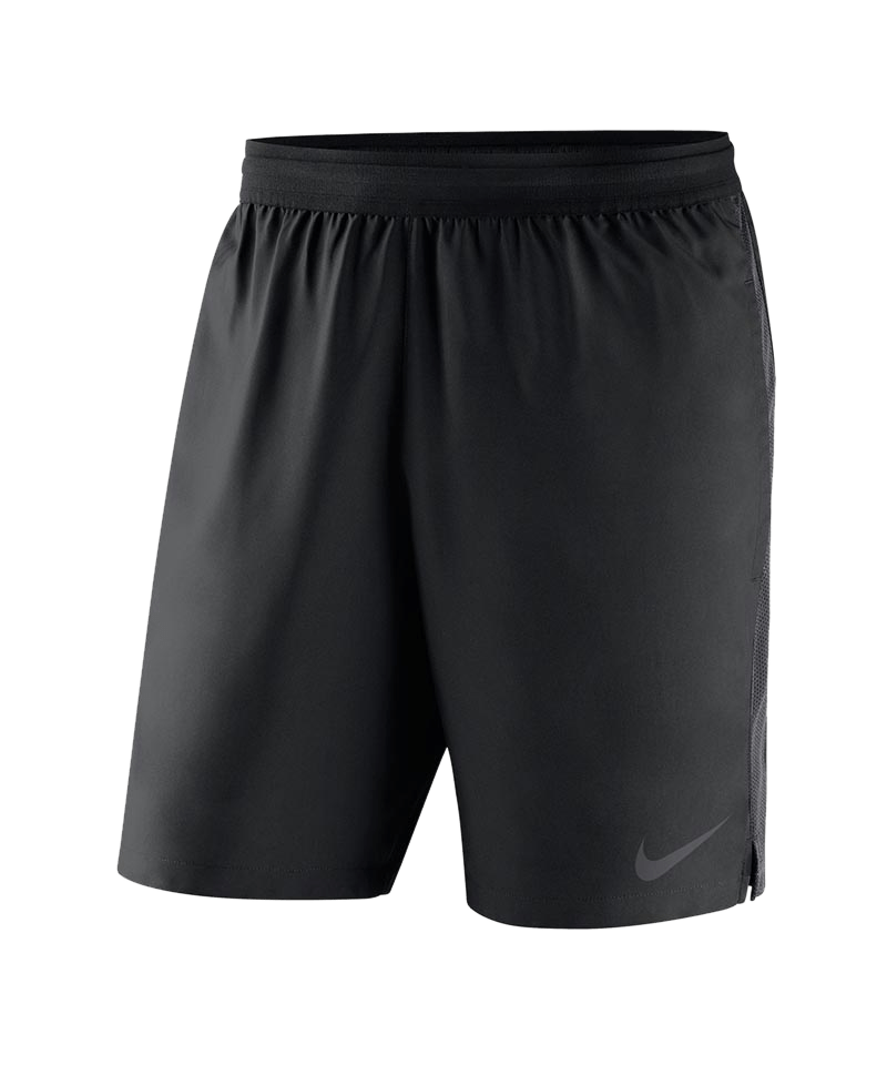Nike Dry Referee Shorts black F010