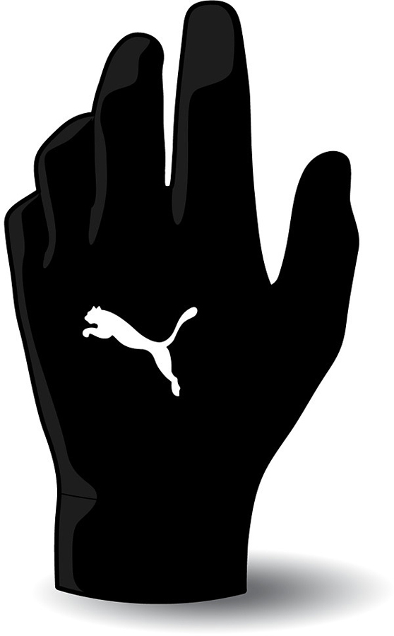 Puma Feldspielerhandschuh schwarz