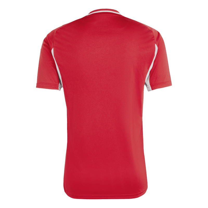Adidas Trikot Tiro 25 Competition Match team power red 2-team light grey Adidas Trikot Tiro 25 Competition Match team power red 2-team light grey