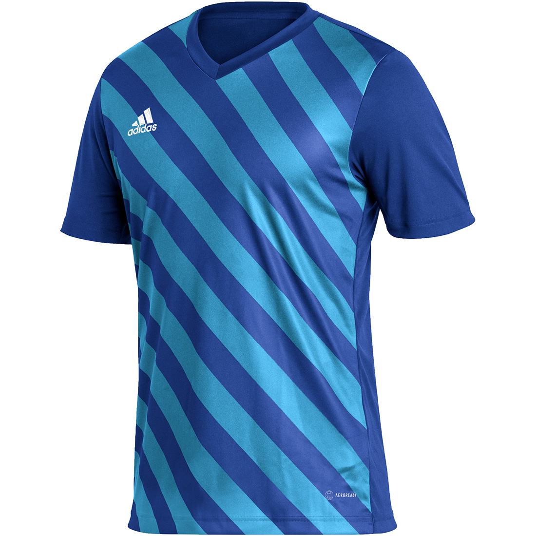 Adidas Herren GFX Trikot Entrada 22 blau